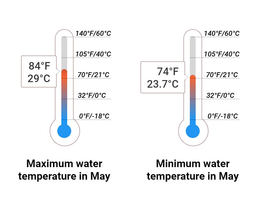 Average Sea temperature